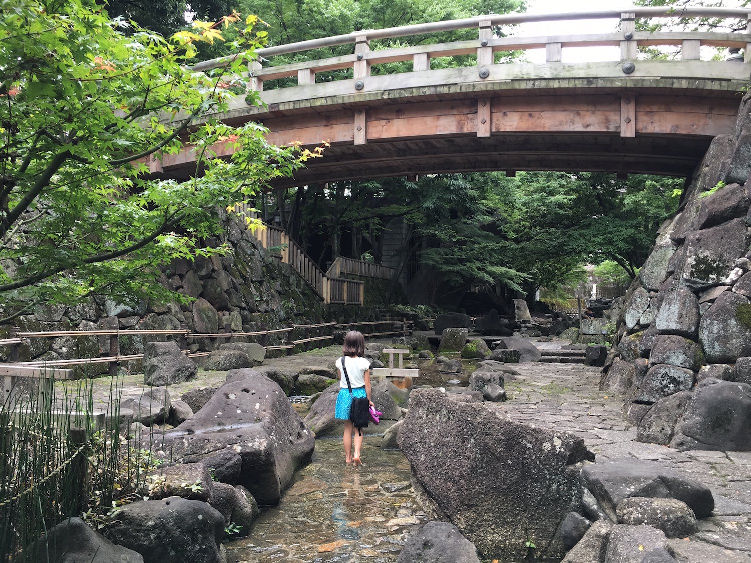 🌳 기타 구립 오토나시 친수공원(키타쿠리츠 오토나시 신스이코우엔) 이미지 4